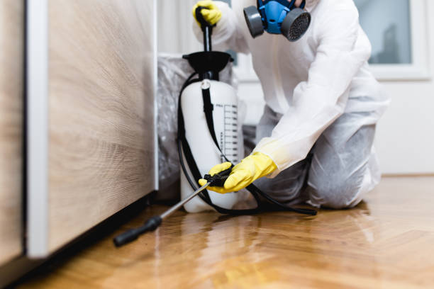 Best Affordable Pest Control Services  in Pollock Pines, CA