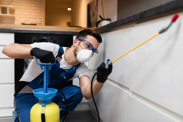 Best Wasp Removal Services  in Pollock Pines, CA