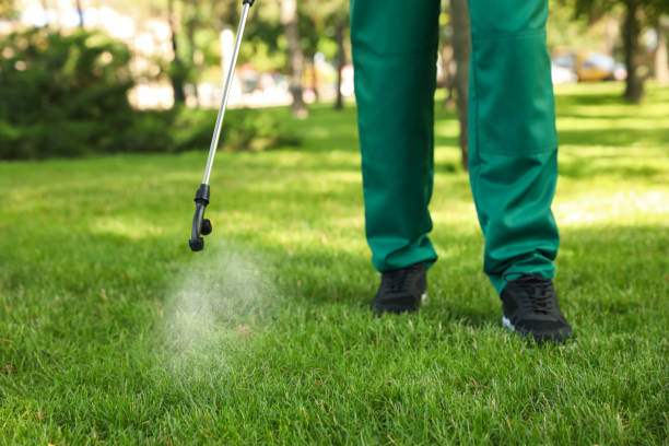 Best Local Pest Control Services  in Pollock Pines, CA