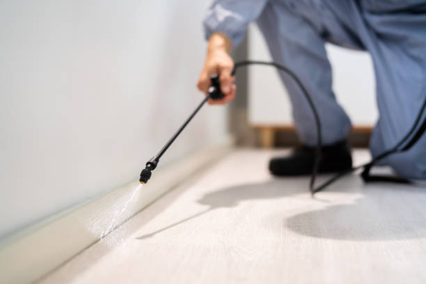Best Mosquito Control Services  in Pollock Pines, CA