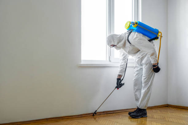 Best Affordable Pest Control Services  in Pollock Pines, CA