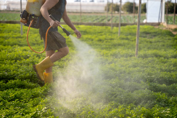 Pest Control Cost in Pollock Pines, CA