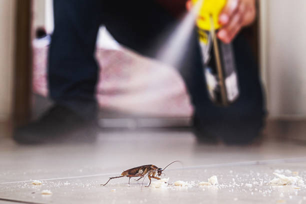 Best Residential Pest Control  in Pollock Pines, CA